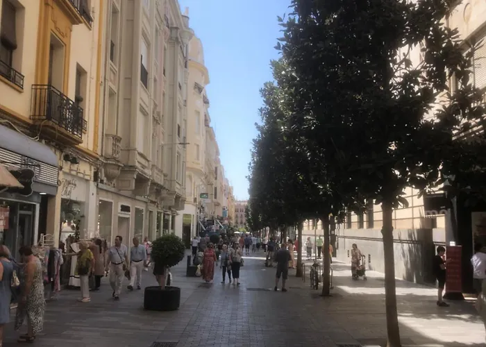 Apartamento En El Centro Totalmente Climatizado, Parking Gratuito