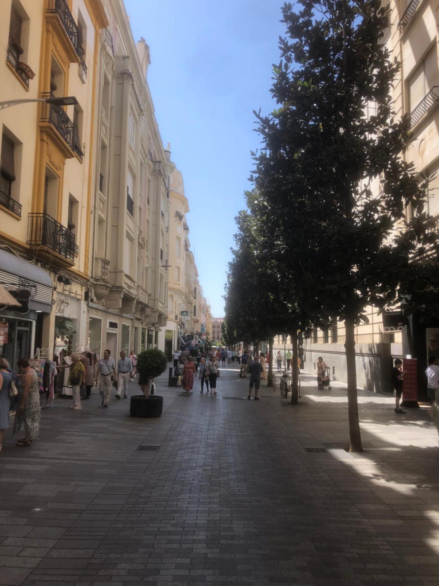 En El Centro Totalmente Climatizado, Parking Gratuito Apartament Còrdova